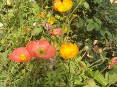 -人民公园(罗湖区)