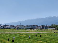 -喜林苑·稻田餐厅(品相府店)