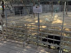 -厦门悦华酒店