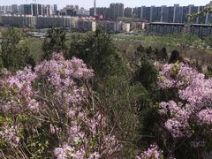 -南翠屏公园