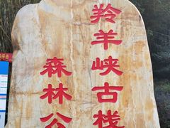 -羚羊峡古栈道森林公园