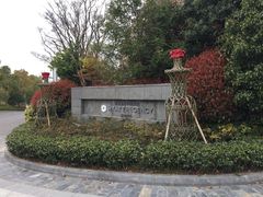 -上海崇明金茂凯悦酒店