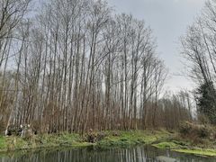 -桤木河湿地公园