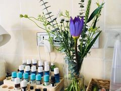 -植物学家的女儿(北马道巷店)