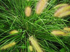 -永定河休闲森林公园