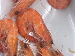 -红月湾海鲜饭店•沙滩海景(双月湾店)