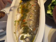 -大碗居·烤鸭·鱼头泡饼(天坛东门店)