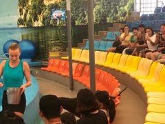 -尼莫海豚馆