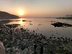 -烟墩角天鹅湖