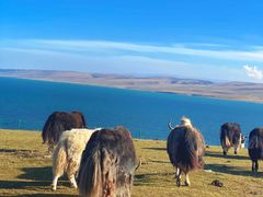 -青海湖国家重点风景名胜区