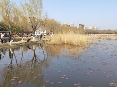 -前关湿地公园