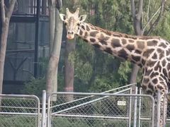 -石家庄市动物园