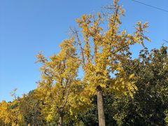 -苏州河梦清园环保主题公园