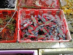 -霞涌市场海鲜摆卖区
