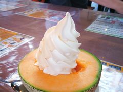 -富田农场