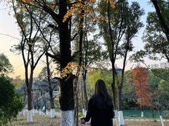 -八大山人梅湖景区