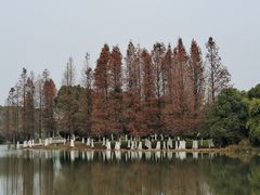 -艾溪湖湿地公园