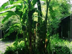 -驿舍·民國老营房院子私房菜(科学会堂店)