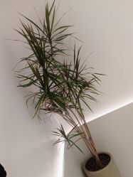 -LJOY丽锦造型·烫发染发
