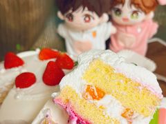 -今日·TODAY手作低脂动物奶油蛋糕定制(高新万达店)