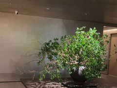 -隐溪茶馆(静安寺店)
