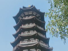 -洋湖国家湿地公园