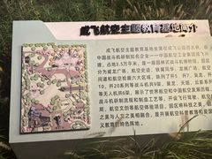 -成飞公园