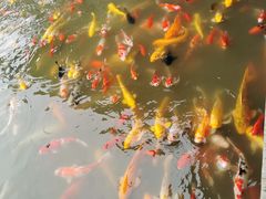 -泰安地下龙宫景区