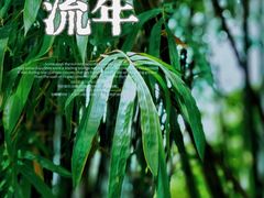 -望江楼公园