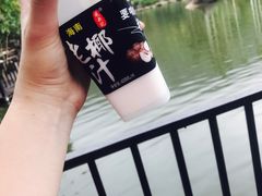 -呀诺达热带雨林