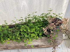 -無用生活空间(北京店)