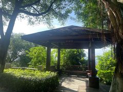 -仙岳公园