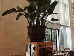 -凯菲厅海鲜姿造·海鲜自助·帝王蟹·龙虾(成都群光君悦酒店)