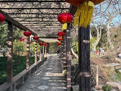 -上海醉白池公园