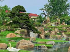 -罗红摄影艺术馆