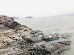 -上海市保健医疗中心