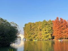 -上海海湾国家森林公园