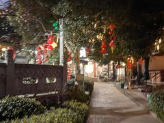 -听风阁农家私房菜茶楼(龙坞店)