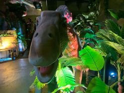 -恐龙探索乐园(磁器口店)