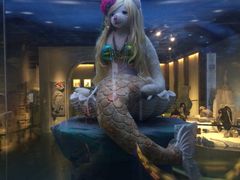 -成都泰迪熊博物馆