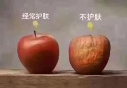 -薇薇安花系SPA