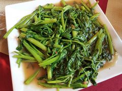 空心菜-Daddy Nimman Chiang Mai