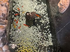 -老城南食府(宣武门东大街店)