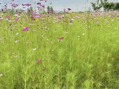 -汉长安城未央宫国家考古遗址公园