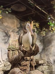 -Zoolung Zoolung动物主题公园(海信广场店)