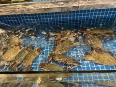 -海立阁海鲜江浙菜(漕河泾印象城店)
