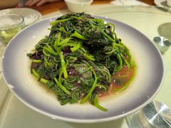 -松沪名灶·豆浆鱼头·新上海菜(飞航吾悦广场店)