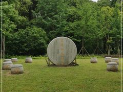 -昆山城市生态森林公园