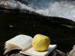 -COSTA COFFEE(西湖天地店)