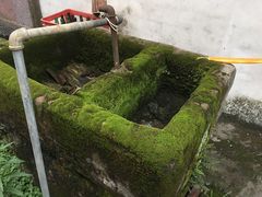 -鸣鹤古镇